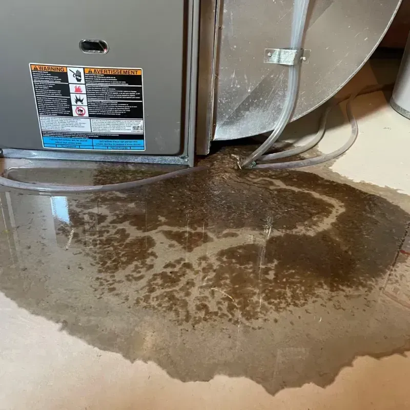 Appliance Leak Cleanup in Georgetown, CA